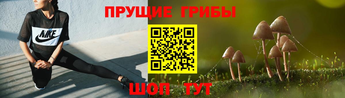 Галлюциногенные грибы Psilocybe  Псилоцибиновые грибы мухоморы  наркота  Вход с VPN  Ливны 